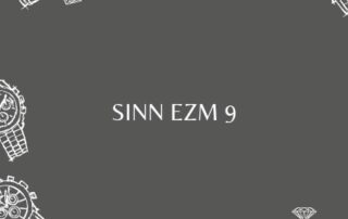 Sinn EZM 9 – Hochwertige Einsatzuhr für extreme Bedingungen