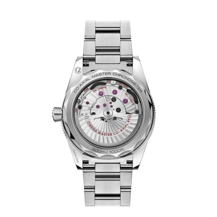 OMEGA SEAMASTER 300 CO-AXIAL MASTER CHRONOMETER 41 MM - O23430412103001