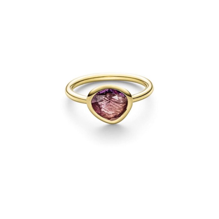 ATELIER WAGNER RING MIT ROTEM SAPHIR - R-GG7-SAPH-FLA-div