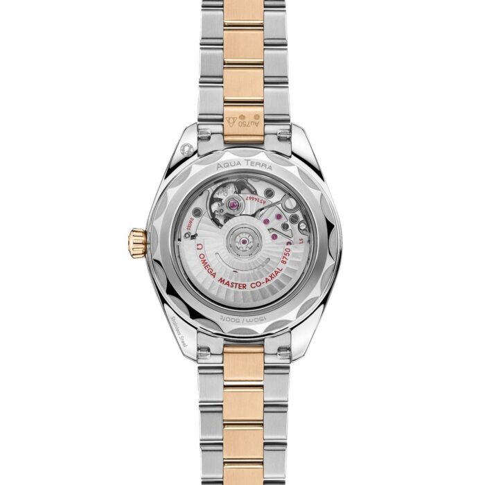 OMEGA SEAMASTER AQUA TERRA 33 MM - O22025302055001