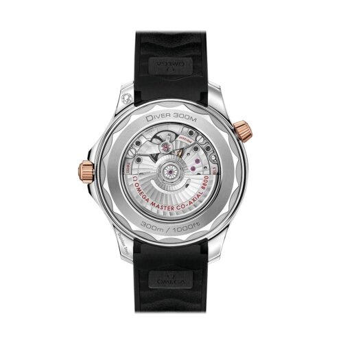 OMEGA DIVER 300M CO‑AXIAL MASTER CHRONOMETER 42 MM - O21022422001002