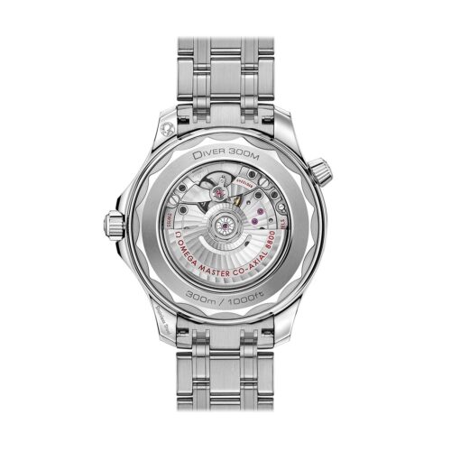 OMEGA DIVER 300M CO‑AXIAL MASTER CHRONOMETER 42 MM - O21030422010001