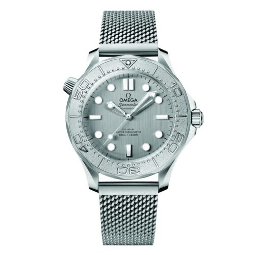 OMEGA SEAMASTER DIVER 300 42 MM - O21030422006002