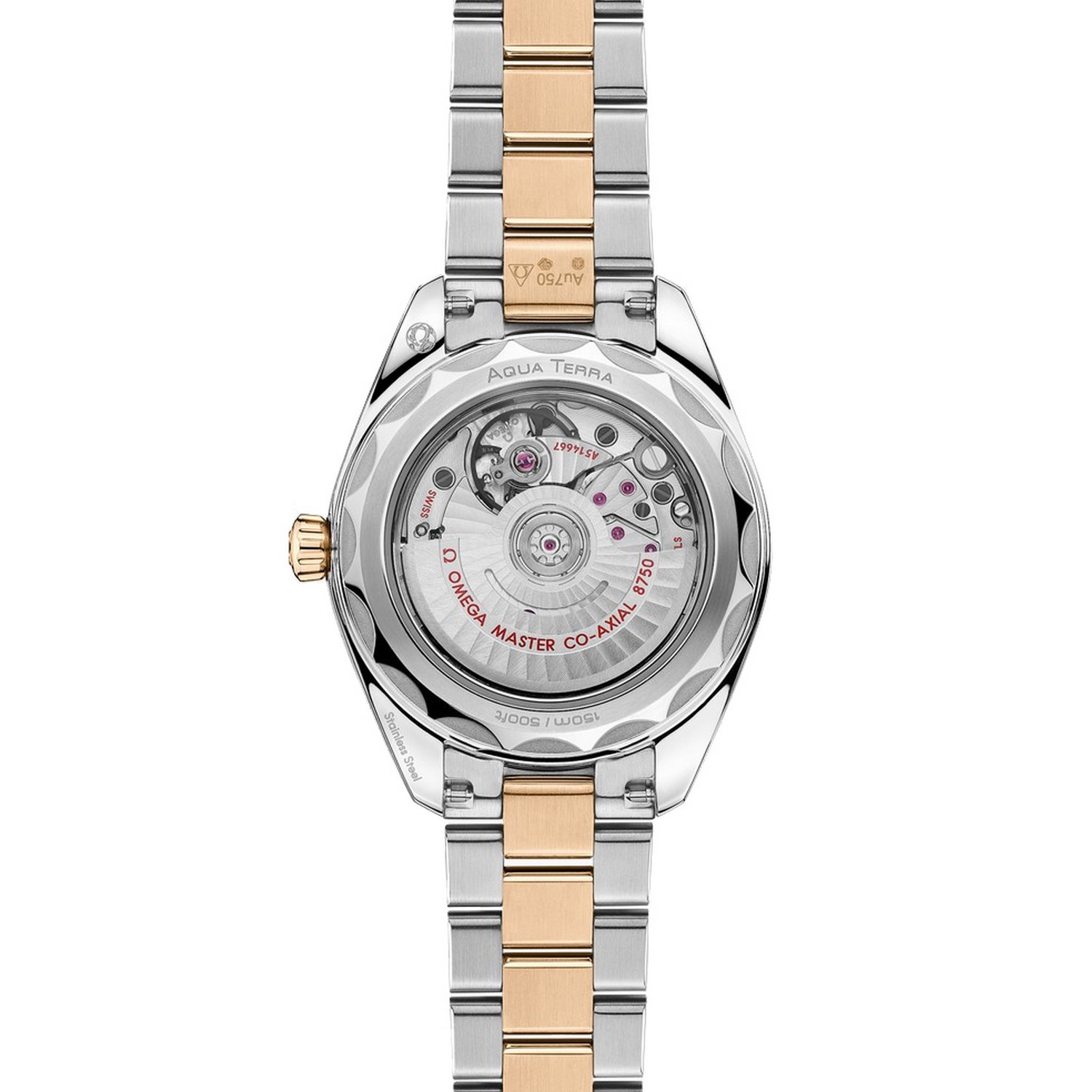 OMEGA SEAMASTER AQUA TERRA 33 MM - O22025302055001